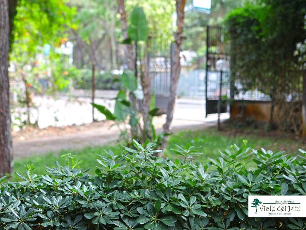 B&B Viale Dei Pini Castellaneta Marina Εξωτερικό φωτογραφία