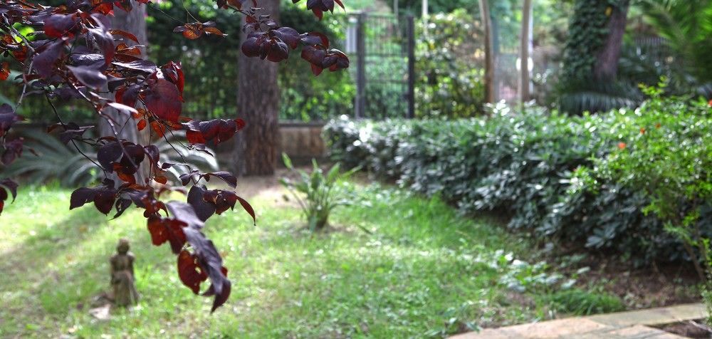 B&B Viale Dei Pini Castellaneta Marina Εξωτερικό φωτογραφία