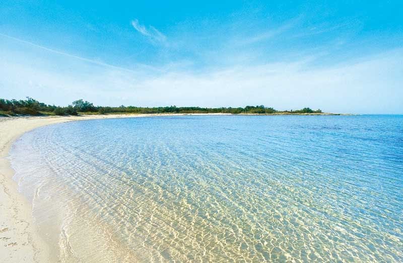 B&B Viale Dei Pini Castellaneta Marina Εξωτερικό φωτογραφία