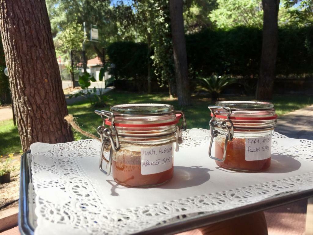 B&B Viale Dei Pini Castellaneta Marina Εξωτερικό φωτογραφία